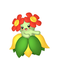 キレイハナ