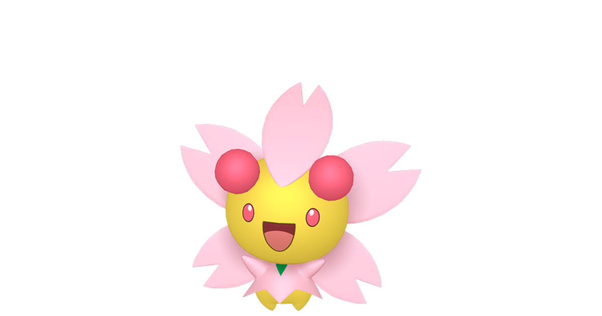 2016 ポケモン 花札 チェリム・カメール（2016 ポケモン 花札