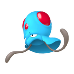 メノクラゲの画像