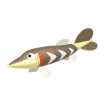 No.136サシカマスの画像