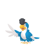 No.113イキリンコブルーフェザーの画像