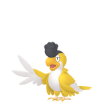 No.113イキリンコイエローフェザーの画像