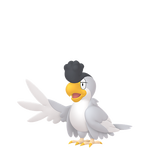 No.113イキリンコホワイトフェザーの画像