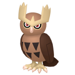 ヨルノズクの画像
