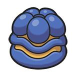 リュガのみ