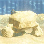 イワロック（希少）の画像