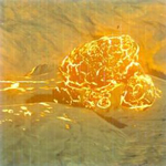 マクロックの画像