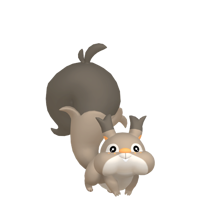 の画像