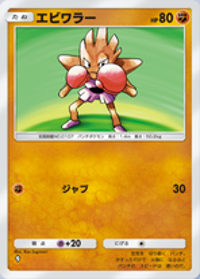 の画像