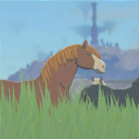 馬