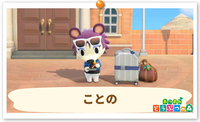 の画像