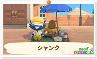 の画像