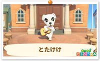 の画像