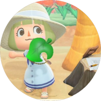 の画像