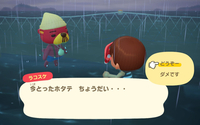 の画像