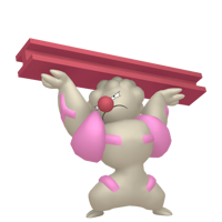 の画像