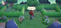 の画像