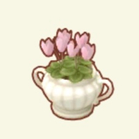 の画像