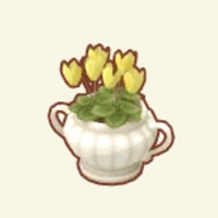 の画像