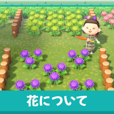 あつまれどうぶつの森 花が増えすぎた時の対処法 あつ森 攻略大百科