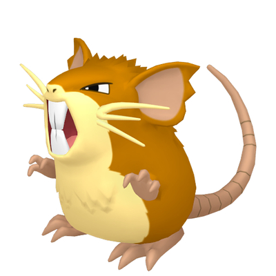 ラッタの画像