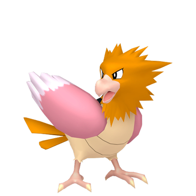 オニスズメの画像