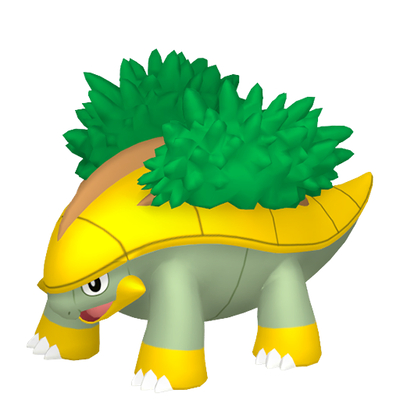 ハヤシガメの画像