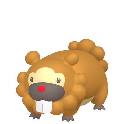 ビッパの画像