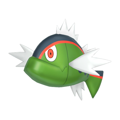 バスラオの画像