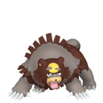 ガチグマの画像
