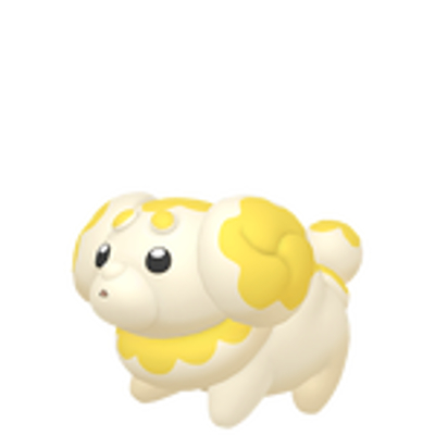 パピモッチの画像