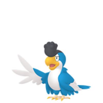 イキリンコの画像