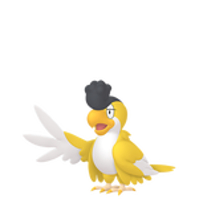 イキリンコの画像