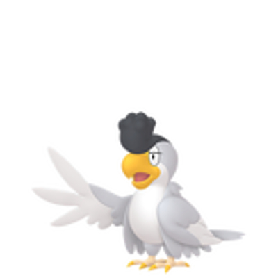 イキリンコの画像