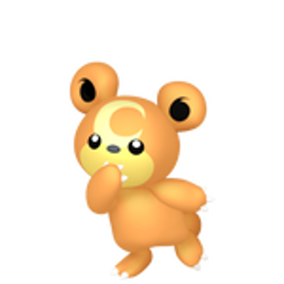 ヒメグマの画像
