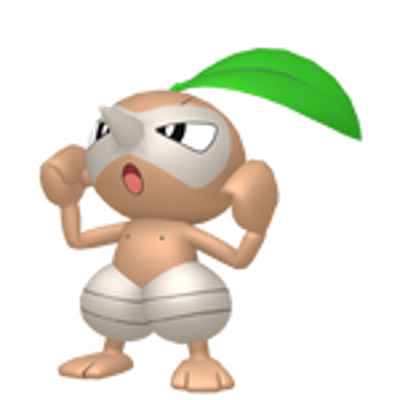コノハナの画像