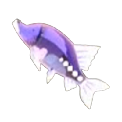 65 アカリホラウオの画像