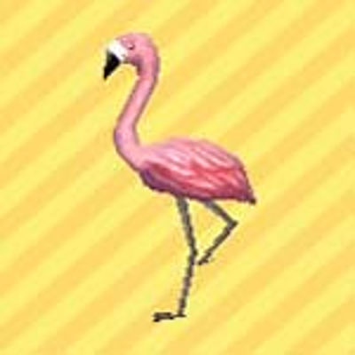 おすのフラミンゴの画像