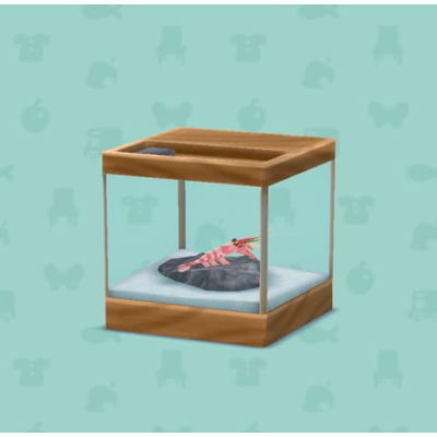 アマエビのすいそうの画像