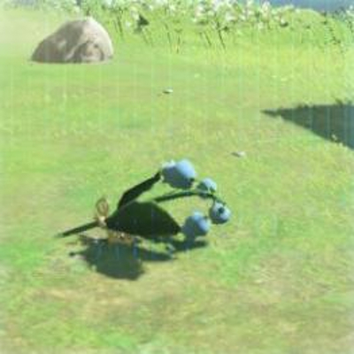 198 しのび草の画像