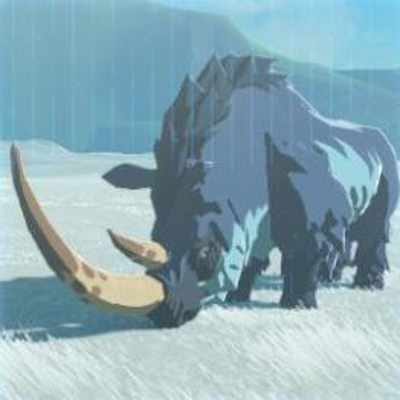 25 オオツノサイの画像