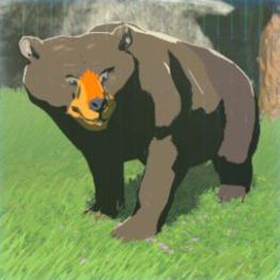26 ハチクイグマの画像