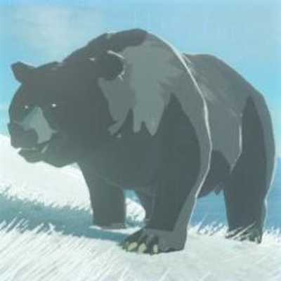 27 コウテイヒグマの画像