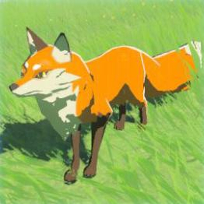 19 ヘイゲンキツネの画像