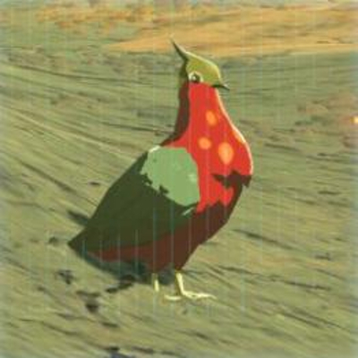 38 カエンバトの画像