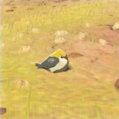 35 コガネスズメの画像