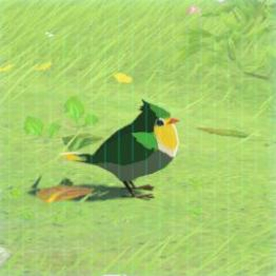 30 タダスズメの画像