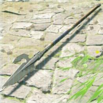 290 兵士の槍の画像