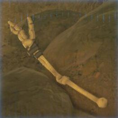 284 モリブリンの骨の画像
