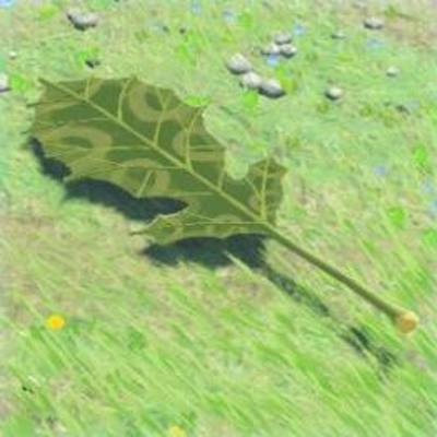 247 コログのうちわの画像